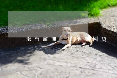 没有逾期 借不到网贷 没有逾期 借不到网贷